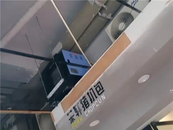 油炸烟气净化处理设备