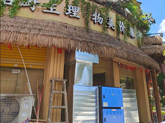 大风量烧烤油烟净化设备